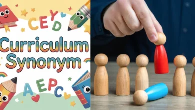 curriculum synonym