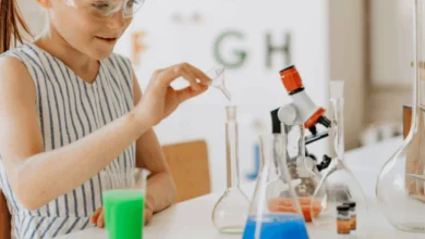 homeschool stem curriculum guide