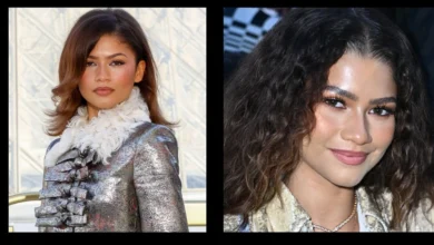 Is Zendaya pregnant latest news and updates 2026