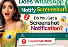 does whatsapp notify screenshots