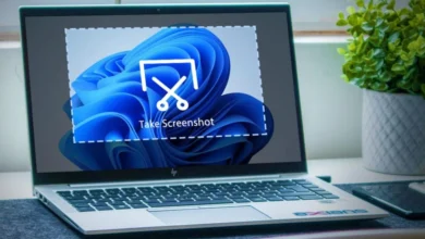 how to take a screenshot on hp laptop