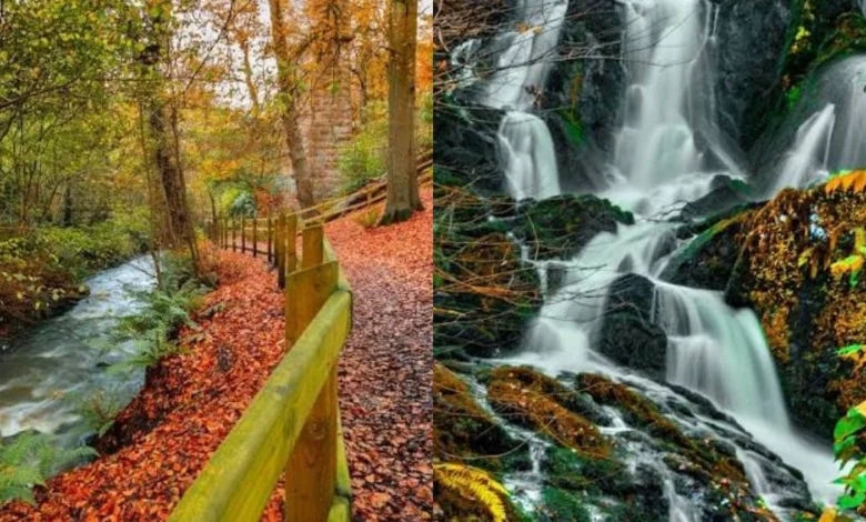 crawfordsburn country park